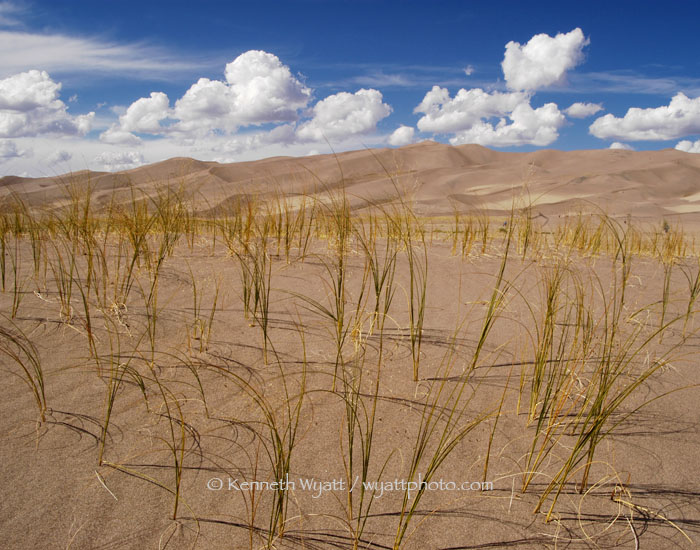 sand dunes, sand, grass, clouds, Great Sand Dunes, Colorado photo