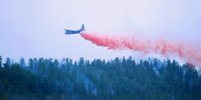 fire, Hayman Fire, Colorado, wildland fire, Kenneth Wyatt photo