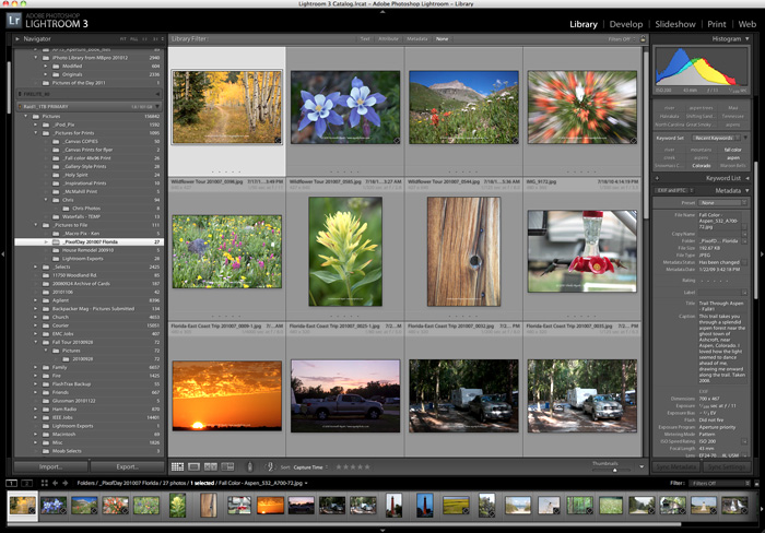 Photoshop, Lightroom, photo editing, software photo