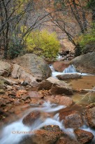 Cheyenne Canyon Fall Color: Tuesday, September 21