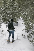 Snowshoe Mini Tour - Divide, CO: January 29, 2011
